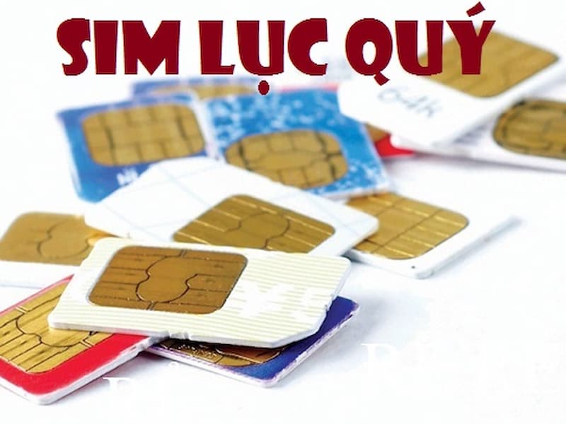 Sim lục quý được chia thành 2 loại chính
