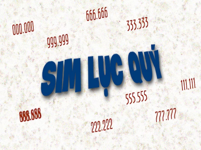 Sim lục quý có cấu trúc đặc biệt tạo nên vẻ đẹp ấn tượng