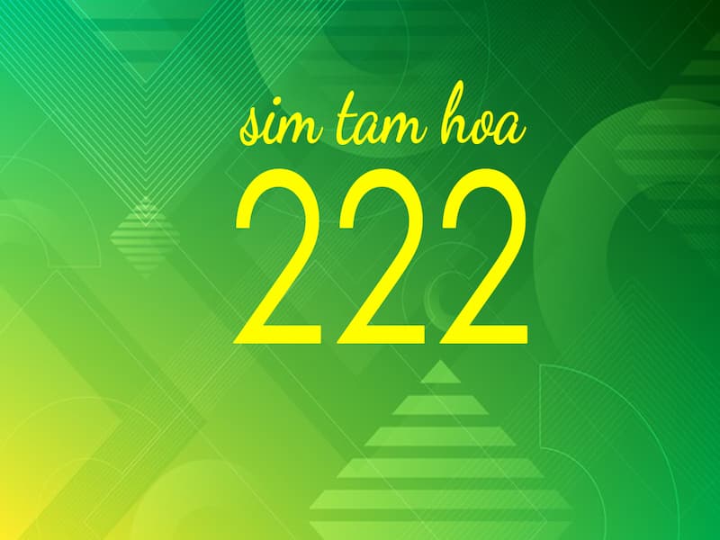 Ý nghĩa số tam hoa 222