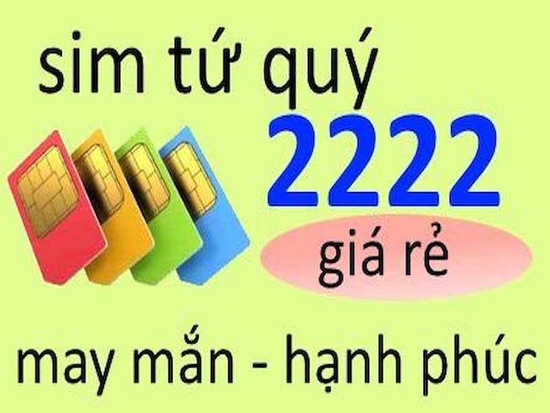 Đa dạng nhiều loại sim và nhà mạng cung cấp