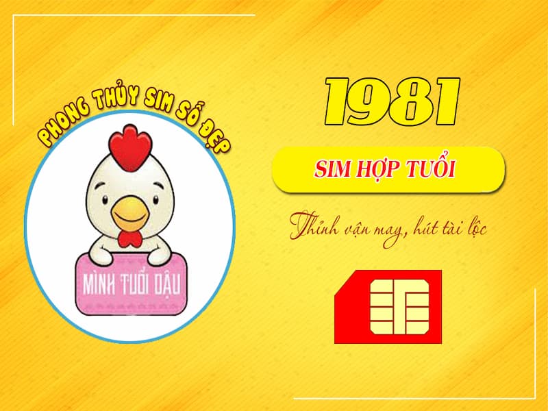 Khi sử dụng số điện thoại ngày tháng năm sinh bạn sẽ được nhiều lợi ích bất ngờ