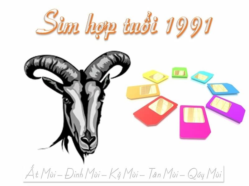 Người Tân Mùi có nhiều cách chọn sim đuôi 1991 theo nhiều cách khác nhau