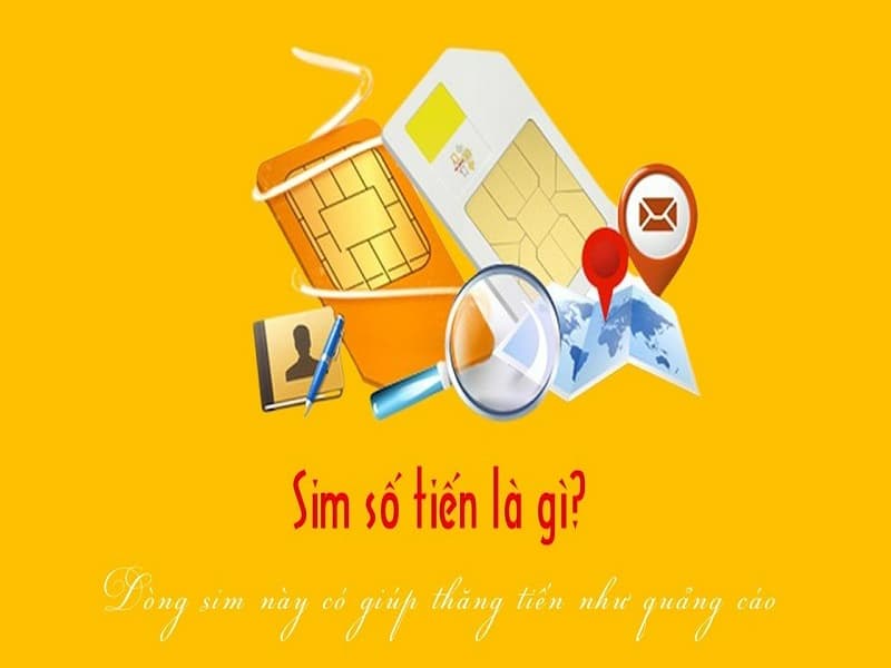 Ý nghĩa của sim tiến lên là gì?