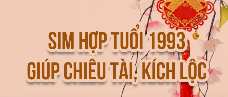Cách chọn sim năm sinh 1993 cực chuẩn