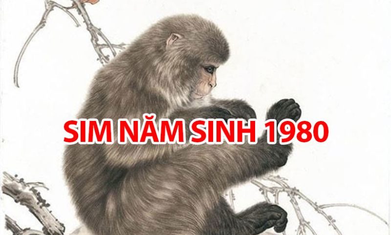 Ý nghĩa phong thủy của sim năm sinh 1980 