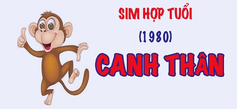 Người sinh năm 1980 hợp với con số nào? 