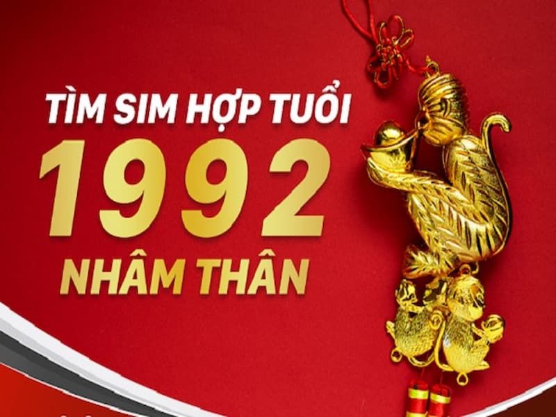 Địa chỉ cung cấp sim năm sinh 1992 uy tín - Sim Hay 