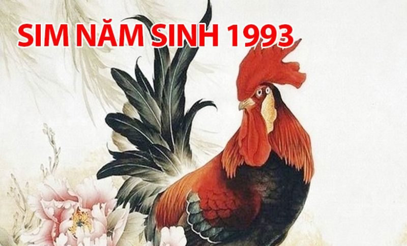 Ý nghĩa của sim sinh năm 1993