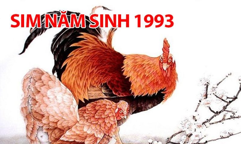 Sim năm sinh 1993 là dạng sim có số đuôi trùng với năm sinh của tuổi Quý Dậu