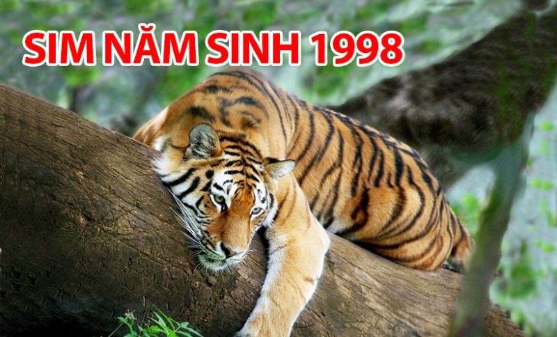 Tại sao nên sử dụng sim năm sinh 1998?