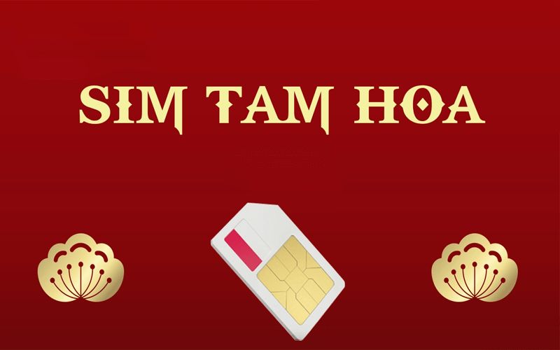 Ý nghĩa của Sim Tam Hoa 444
