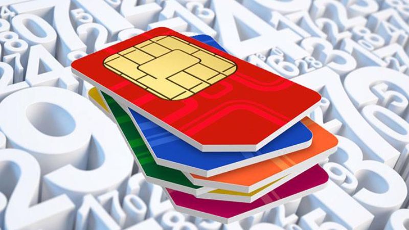 Ý nghĩa phong thủy của sim tiến đơn